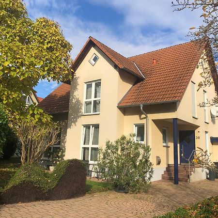Ferienwohnung Suedpfalz Mit Fernblick Bochingen Eksteriør bilde