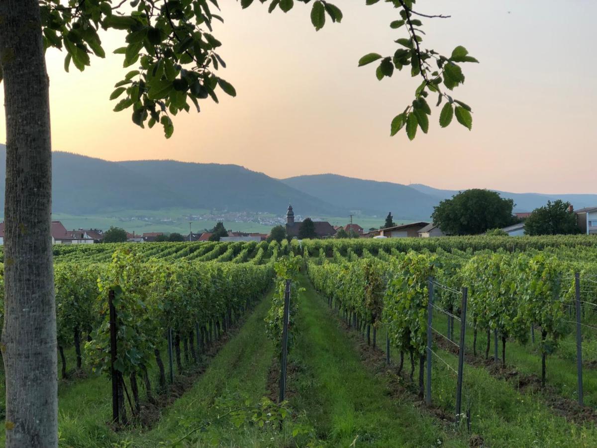 Ferienwohnung Suedpfalz Mit Fernblick Bochingen Eksteriør bilde