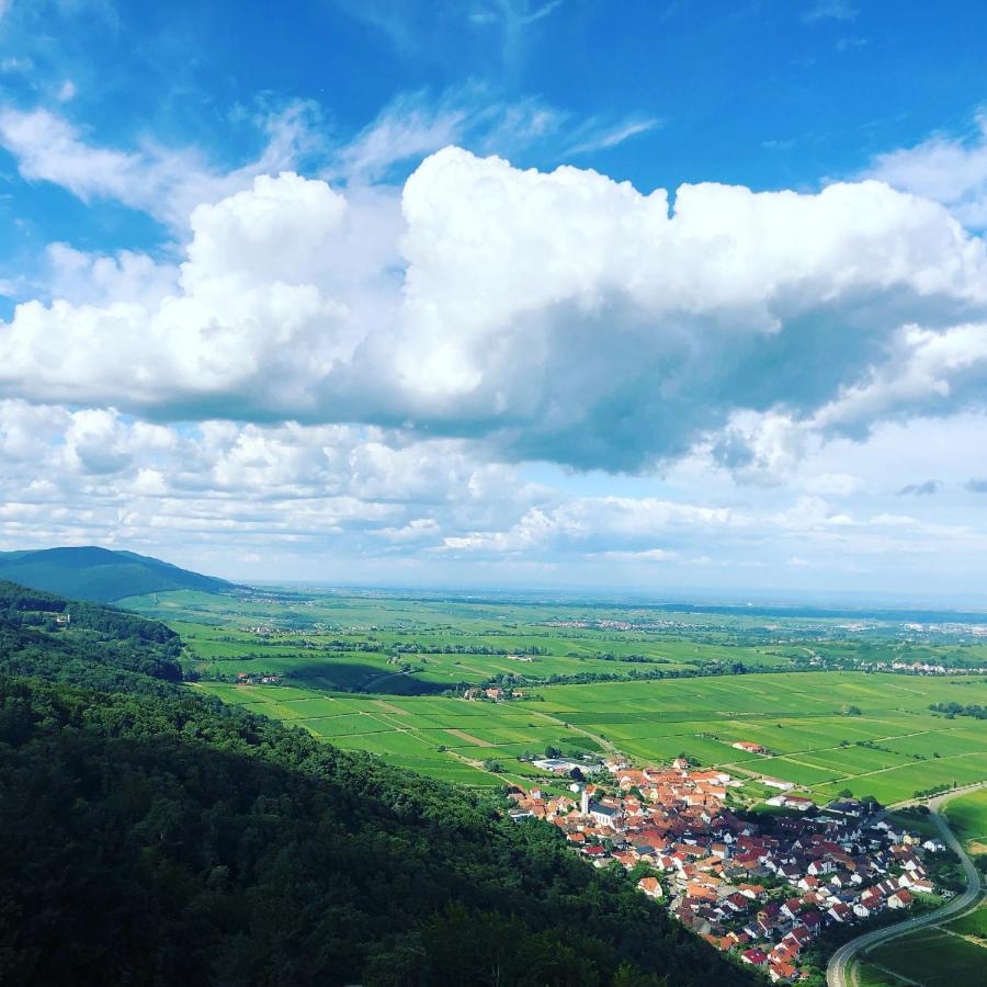 Ferienwohnung Suedpfalz Mit Fernblick Bochingen Eksteriør bilde